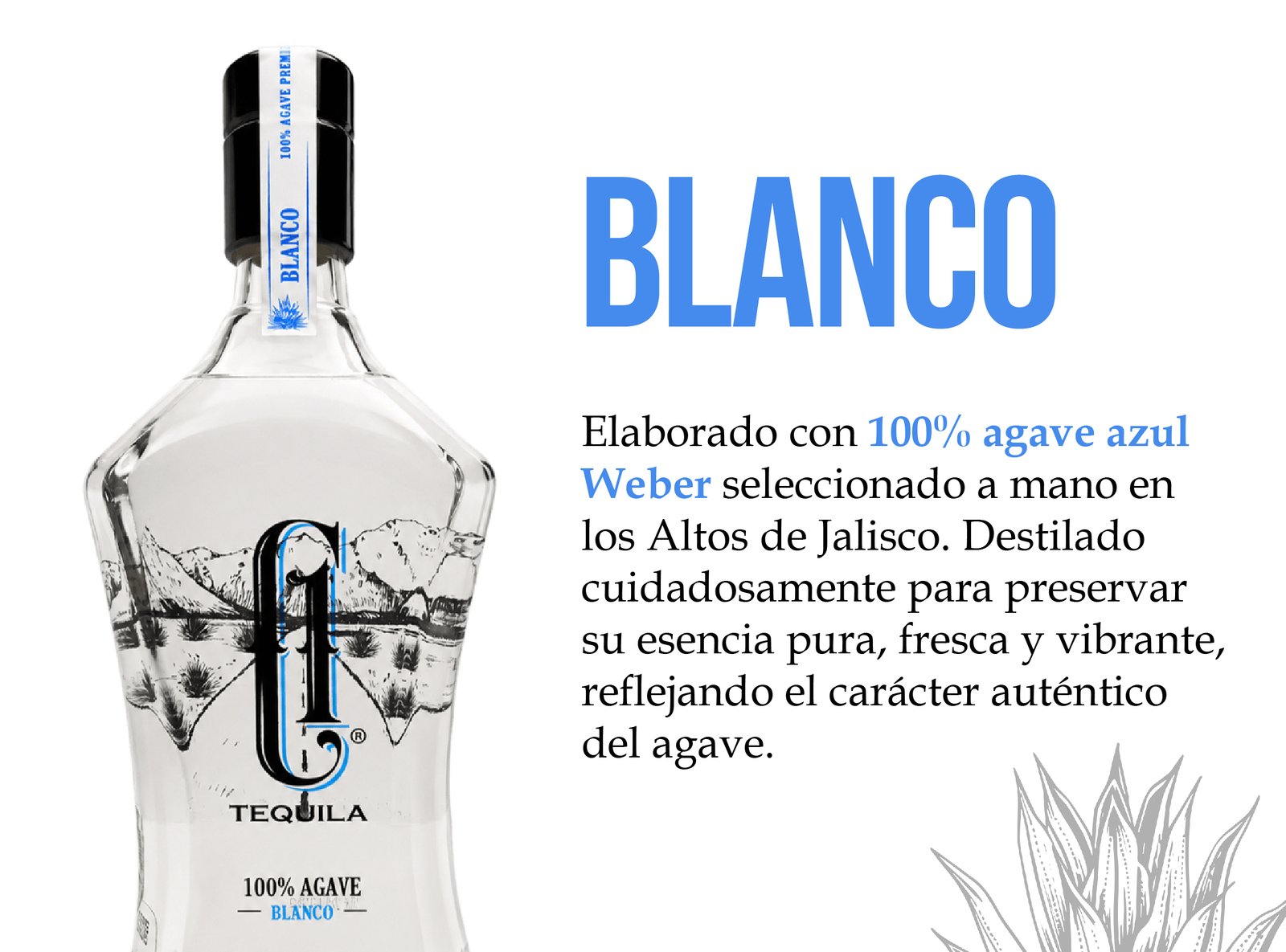 C1 TEQUILA (4) mod TEQUILAS-01