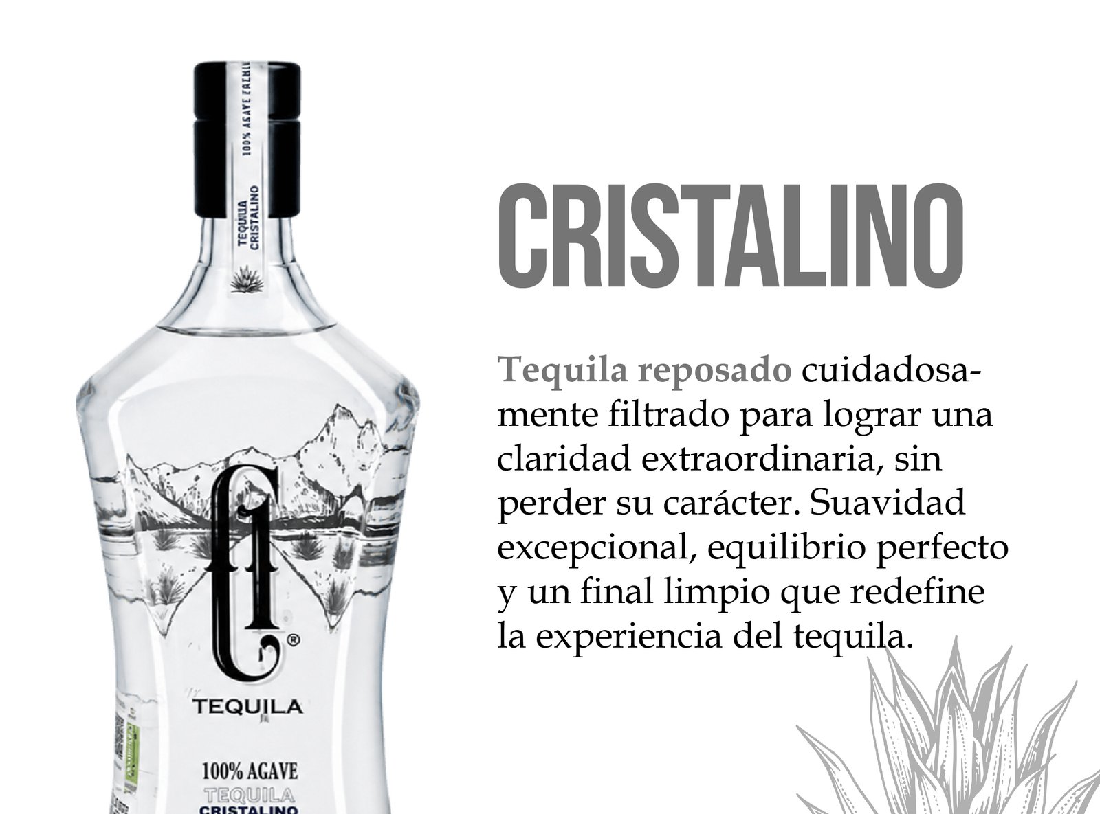 C1 TEQUILA (4) mod TEQUILAS-02