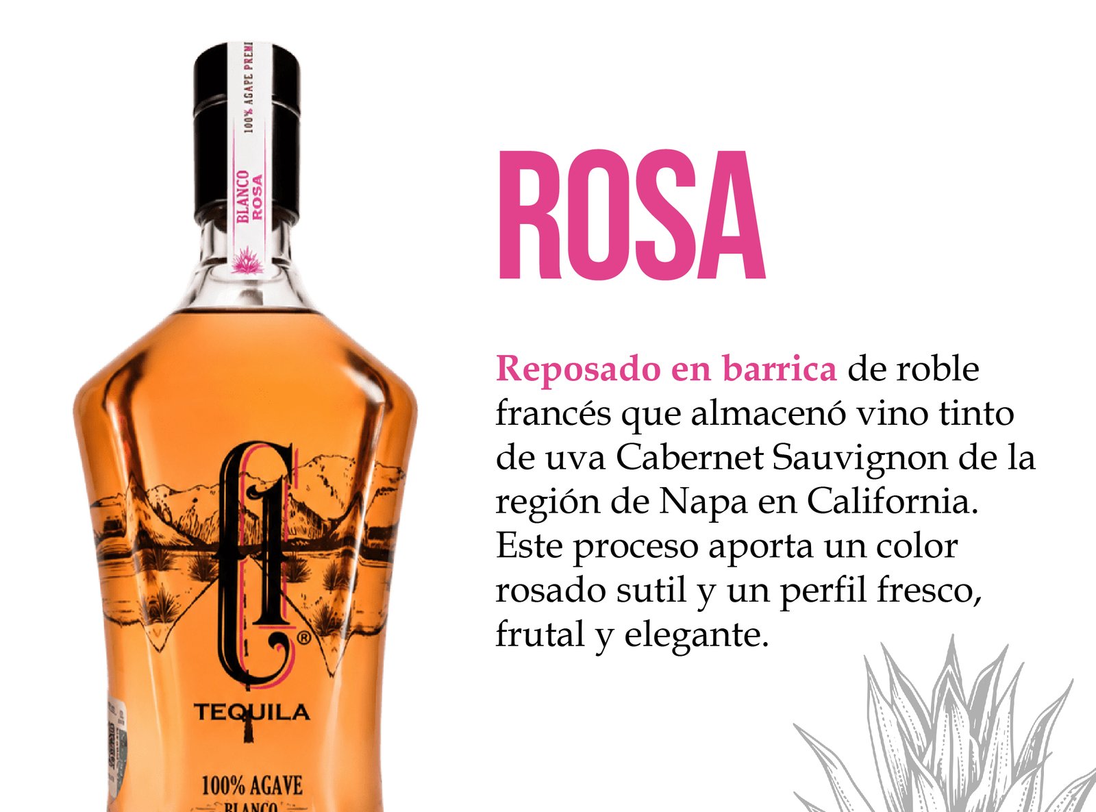 C1 TEQUILA (4) mod TEQUILAS-03